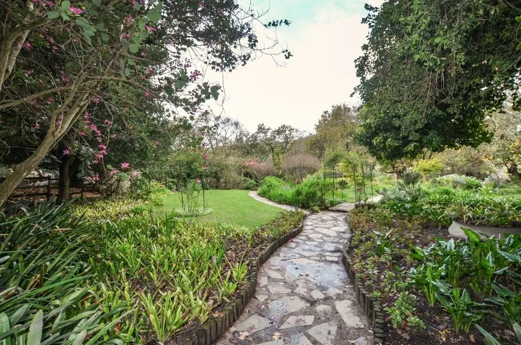 garden with a path