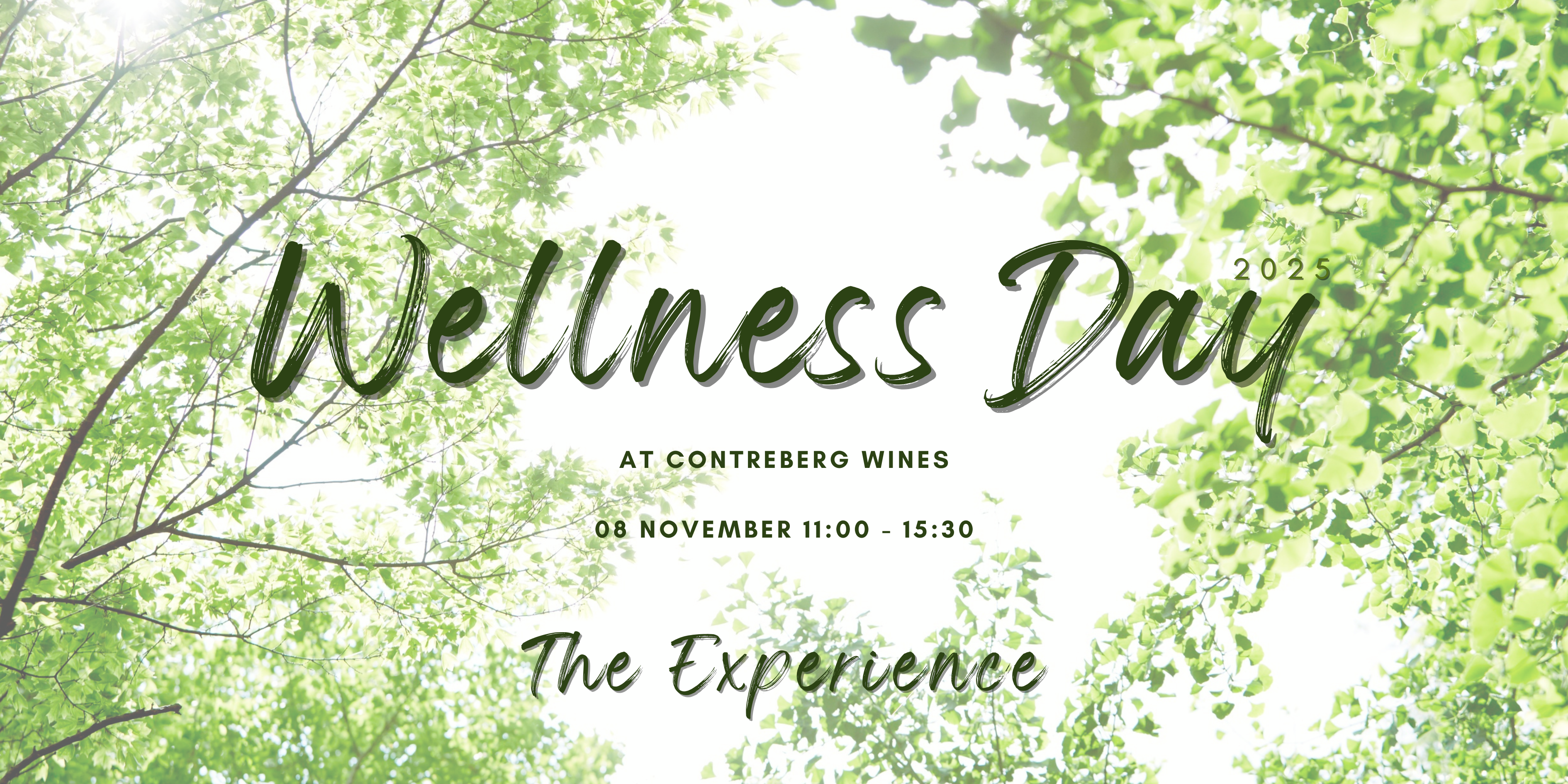 The Experience Blog Title for Wellness Day Experience